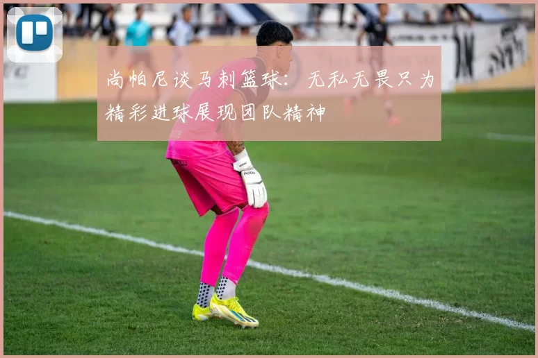 尚帕尼谈马刺篮球：无私无畏只为精彩进球展现团队精神